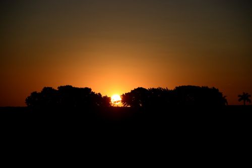 sunset silhouette horizon