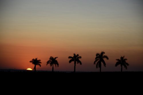 sunset silhouette horizon