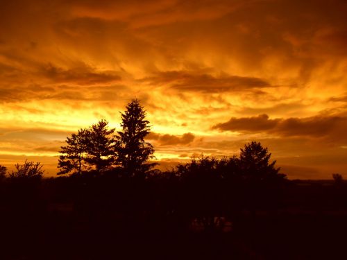 sunset nature cloud