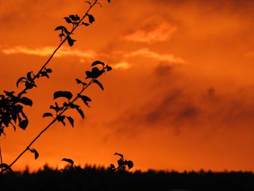 sunset afterglow evening sky