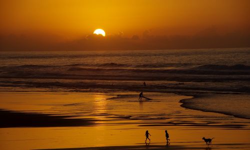 sunset sea surf