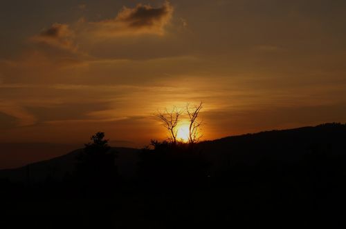 sunset wood light