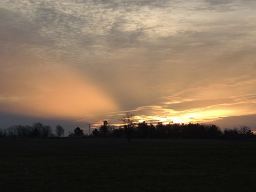 sunset dusk silhouette