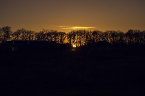 sunset trees evening