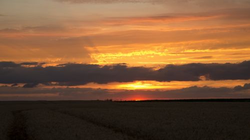 sunset a surname choi clouds