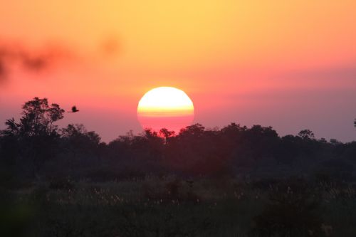 sunset africa evening