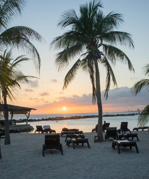 sunset caribbean palm trees