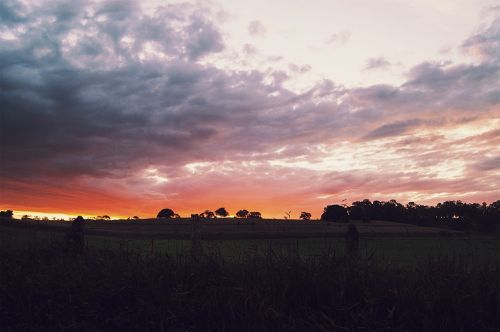 sunset dusk rural