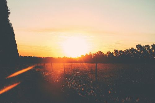 sunset dusk sun rays