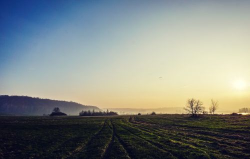 sunset landscape field