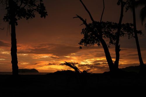 sunset sun trees