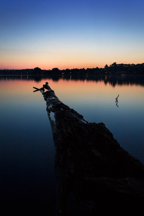 sunset log water