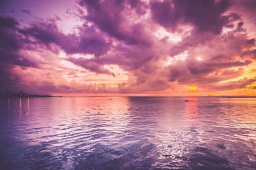 sunset ocean purple