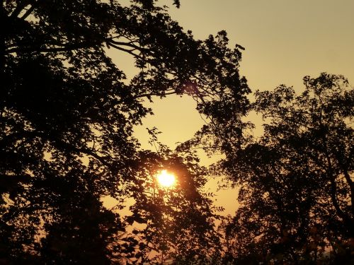 sunset sky evening sky