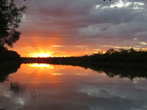sunset australia lake silhouette