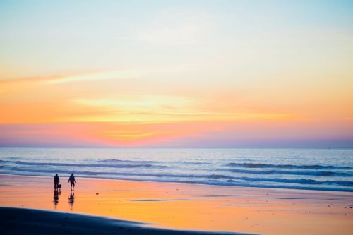 sunset beach walking people dog