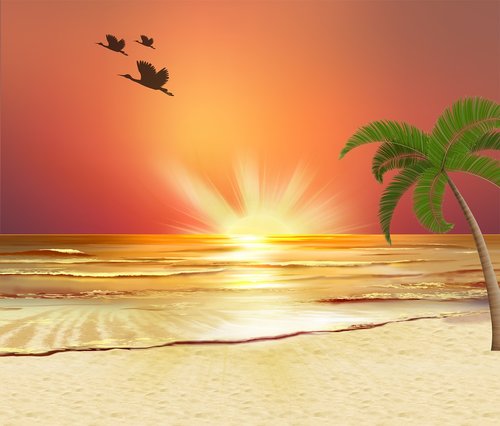 sunset beach  palm tree  red sky