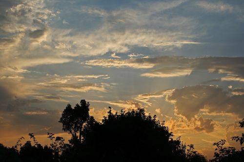 Sunset Behind Trees