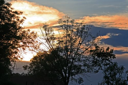 Sunset Behind Trees