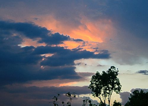 Sunset Clouds With Tree