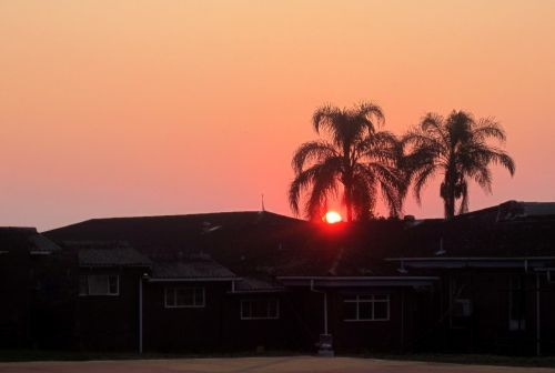 Sunset In Pink