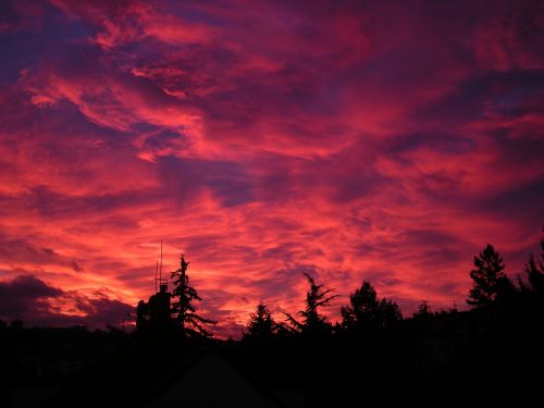 Sunset In Prague