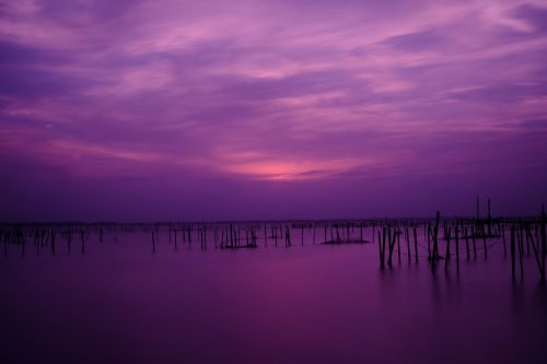 sunset in tam giang lagoon vietnam sunset