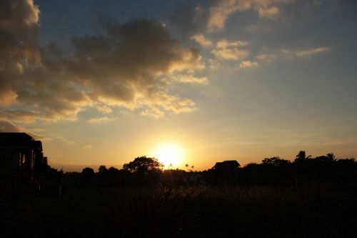 Sunset In The Farm 2