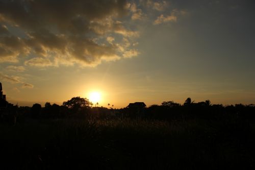 Sunset In The Farm 4