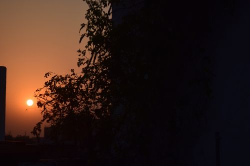 Sunset Silhouette 1