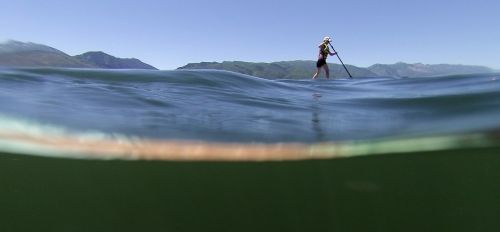 sup paddle board paddle