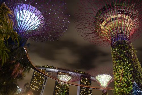 supertree singapore garden by the bay