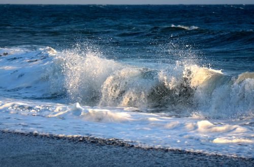 surf beach sea