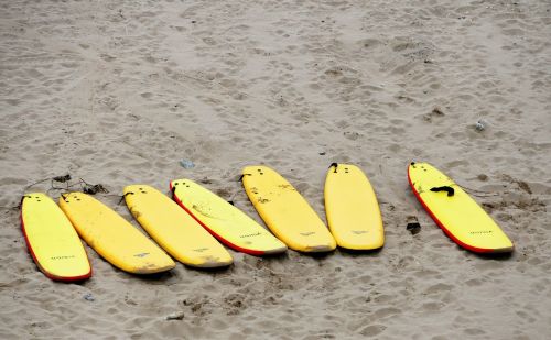 surf boards beach