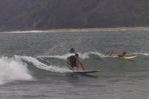 surf  surfer  sea