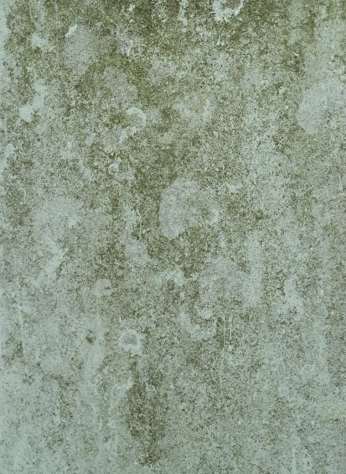 surface structure texture