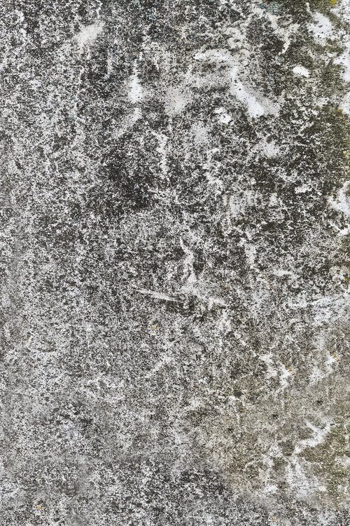 surface  structure  texture