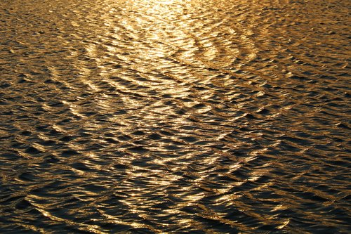 surface  water  ripples