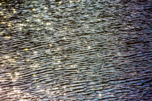 Surface Of Water