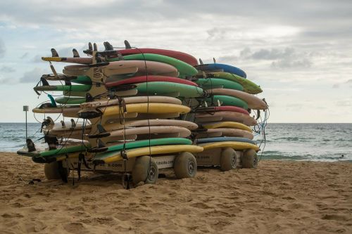 surfboards beach manly