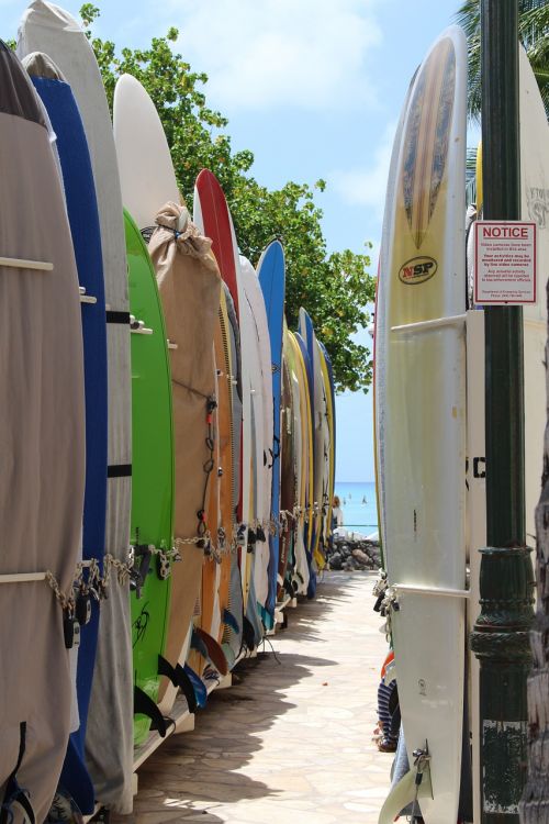 surfboards boards beach