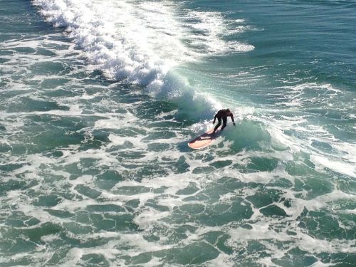 surfer waves ocean