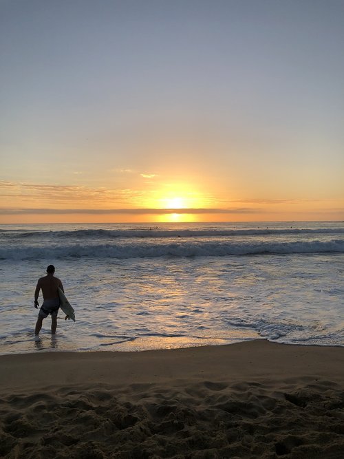 surfer  beach  sunrise