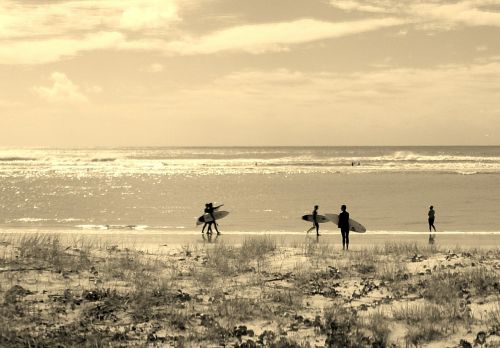 surfers beach summer