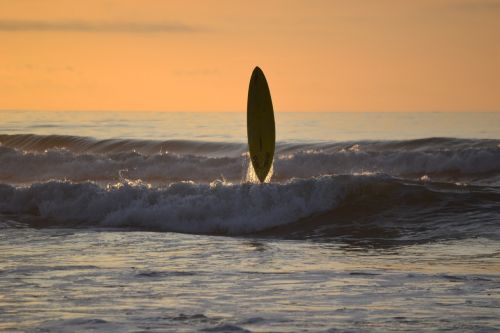 surfing sunset surf board