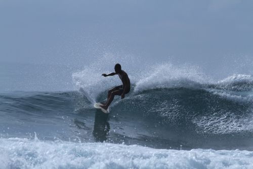 surfing sea wave