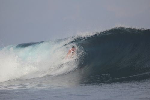 surfing summer sunny