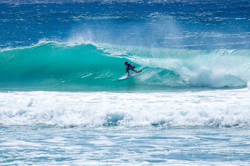 surfing  surfer  surf