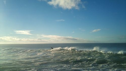 surfing waves surfer