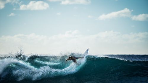 surfing surfer wave